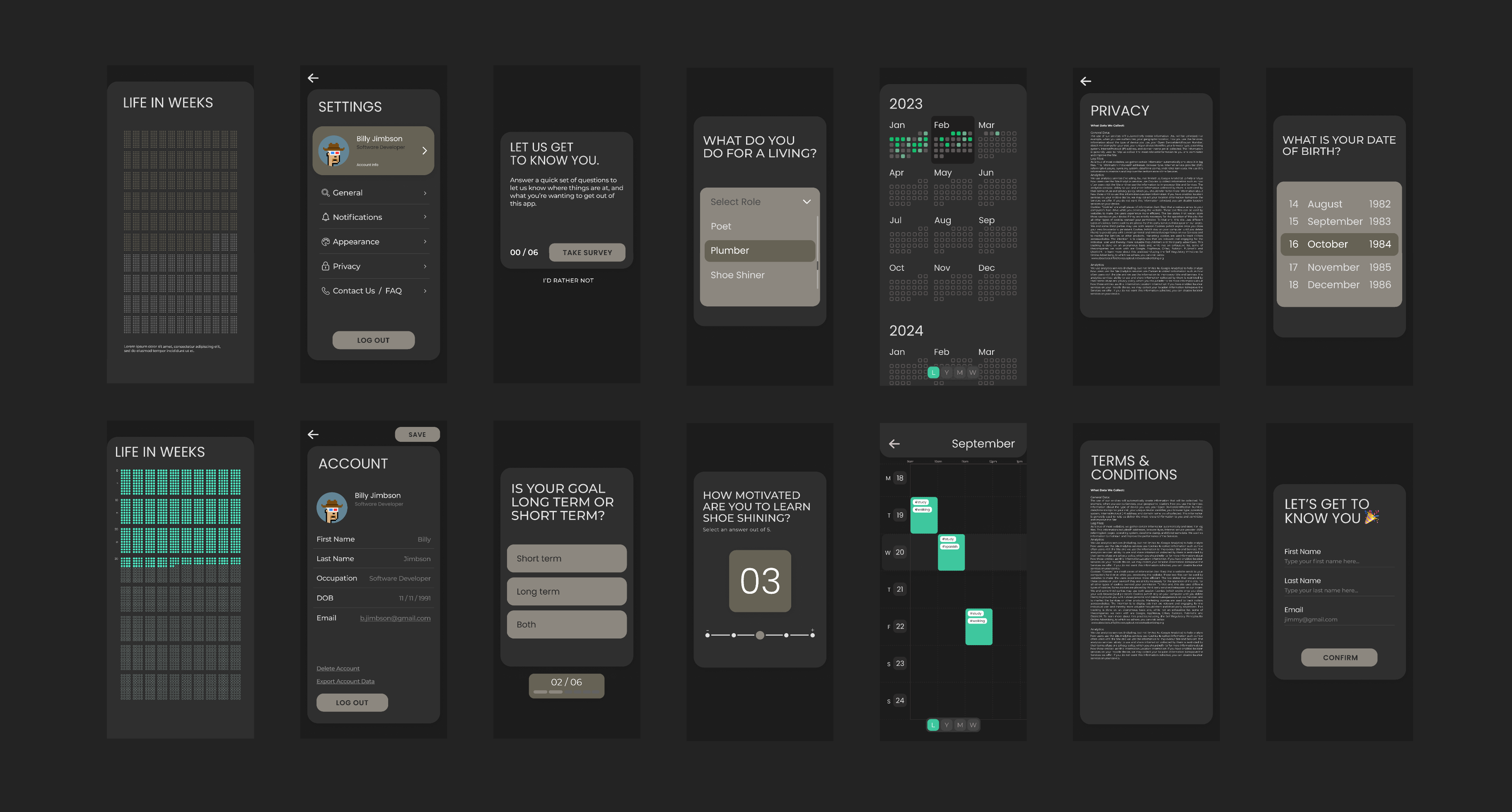 screenshot preview of project